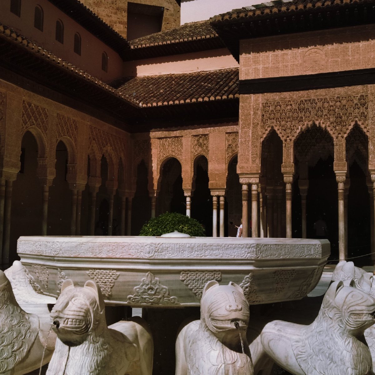 ソウル 🦈 tweet media