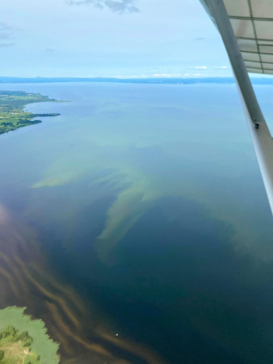 Washing Bay in Lough Neagh from 2000ft today- photo by Robbie McKee, and flight piloted by one of our friends (and instrumentation and telemetry consultants) Alan Lee. #LoughNeagh