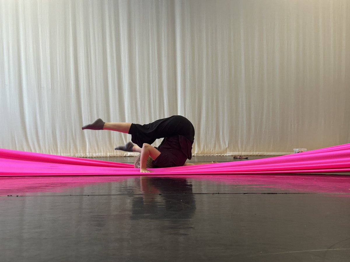 Liz Clark tweet media