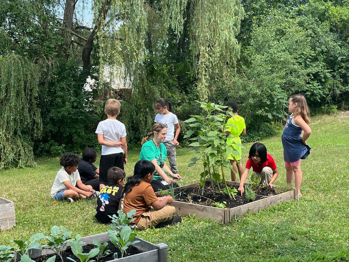 Some major pollinator fun being had this week during Summer Enrichment! Students are learning all about these amazing creatures, particularly the wonderful honey bee! #farmtoschool #schoolgarden #SchenectadyRising #schenectadyschools