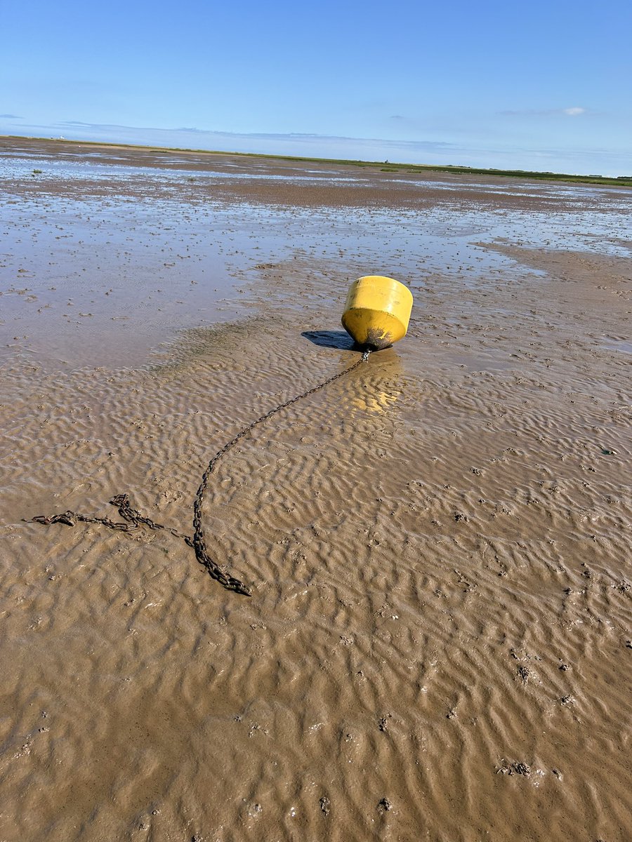 Nigel Whittle tweet media