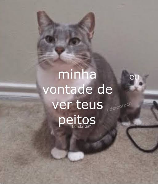 odeiootaco's tweet photo. https://t.co/BYKlCozE1M