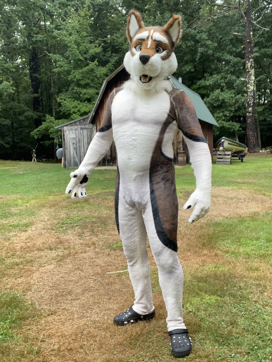 Reyndog tweet media