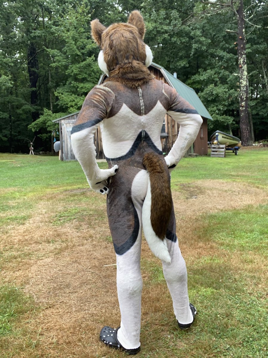 The Husky’s summer coat just arrived from <a href="/forfunbangkok/">FORFUN</a> and I couldn’t be happier.  Fantastic work guys!  #furpetsuit