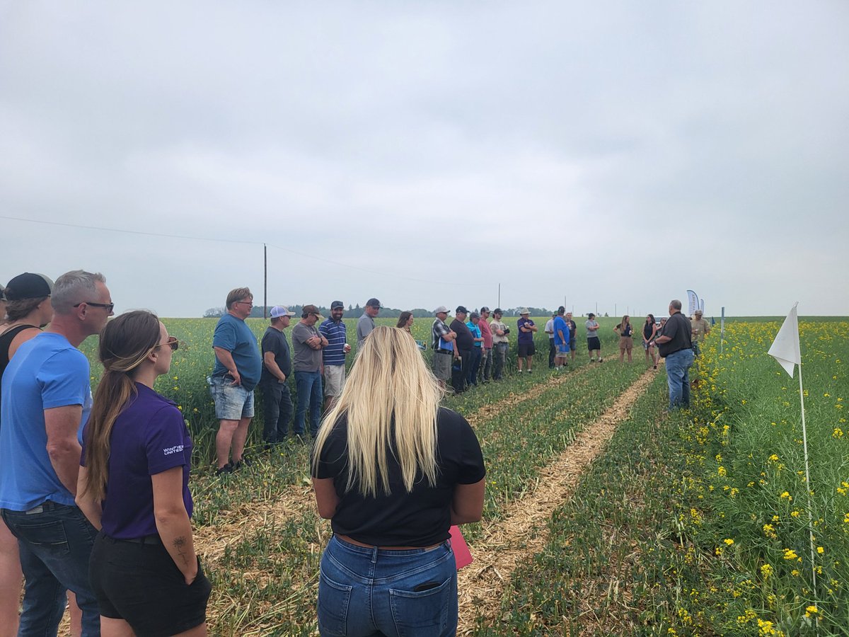 Page__Newton's tweet photo. Great #canola plot tour this morning @TopNotchFS - great peeps with great products! Lots of NEW genetics coming to your farm soon! Book your @canterraseeds #CS4000LL or #CS4100LL with them! #westcdnag #plant25 https://t.co/RIoqHlmdvW