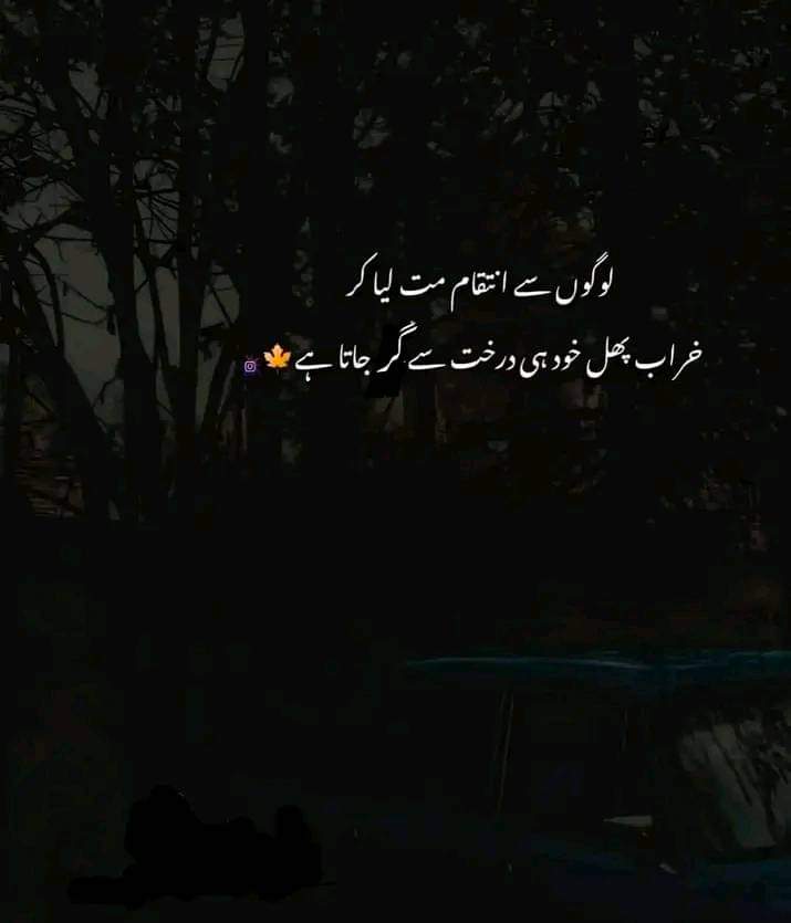 Hidayat Agha (@hidayatagha7) on Twitter photo 