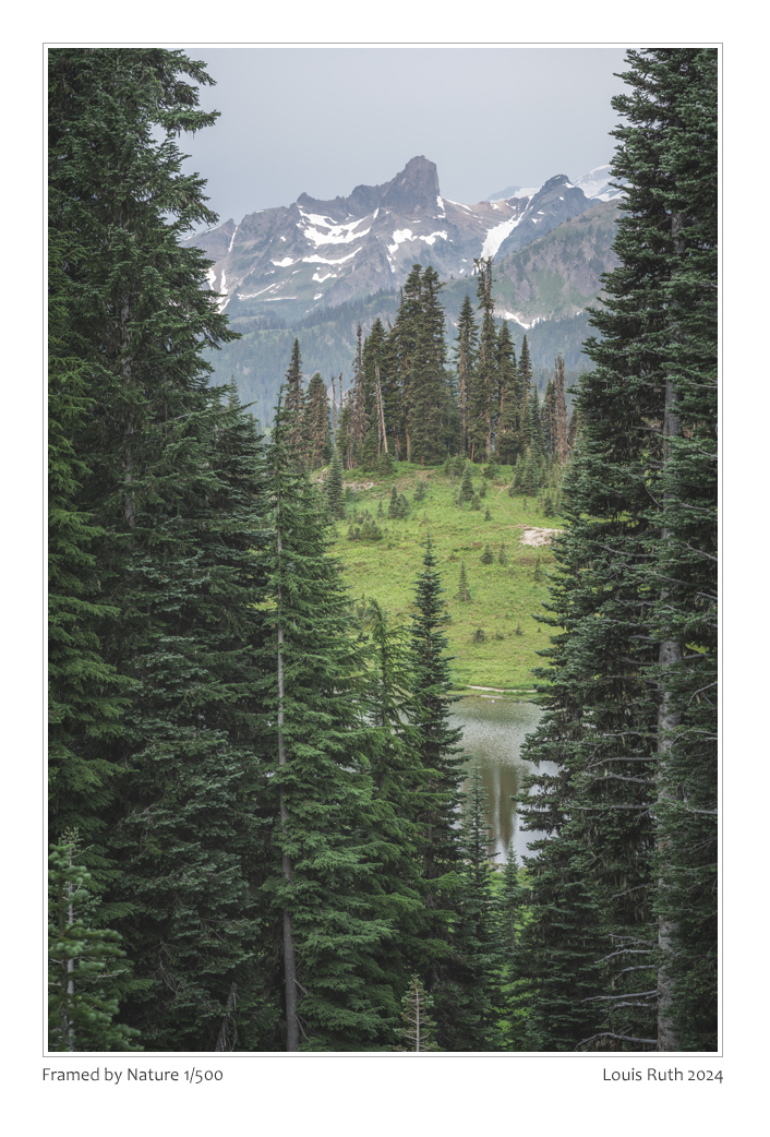 LouisRuth2024's tweet image. Framed by Nature
Peeking through the tall trees is this view of Mount Rainier and Tipsoo Lake in WA state. If you like trees, this photo is for you with mega details.
-
#louisruthphotography #framedphotos #mountrainier #rainier #NaturePhotography #trees