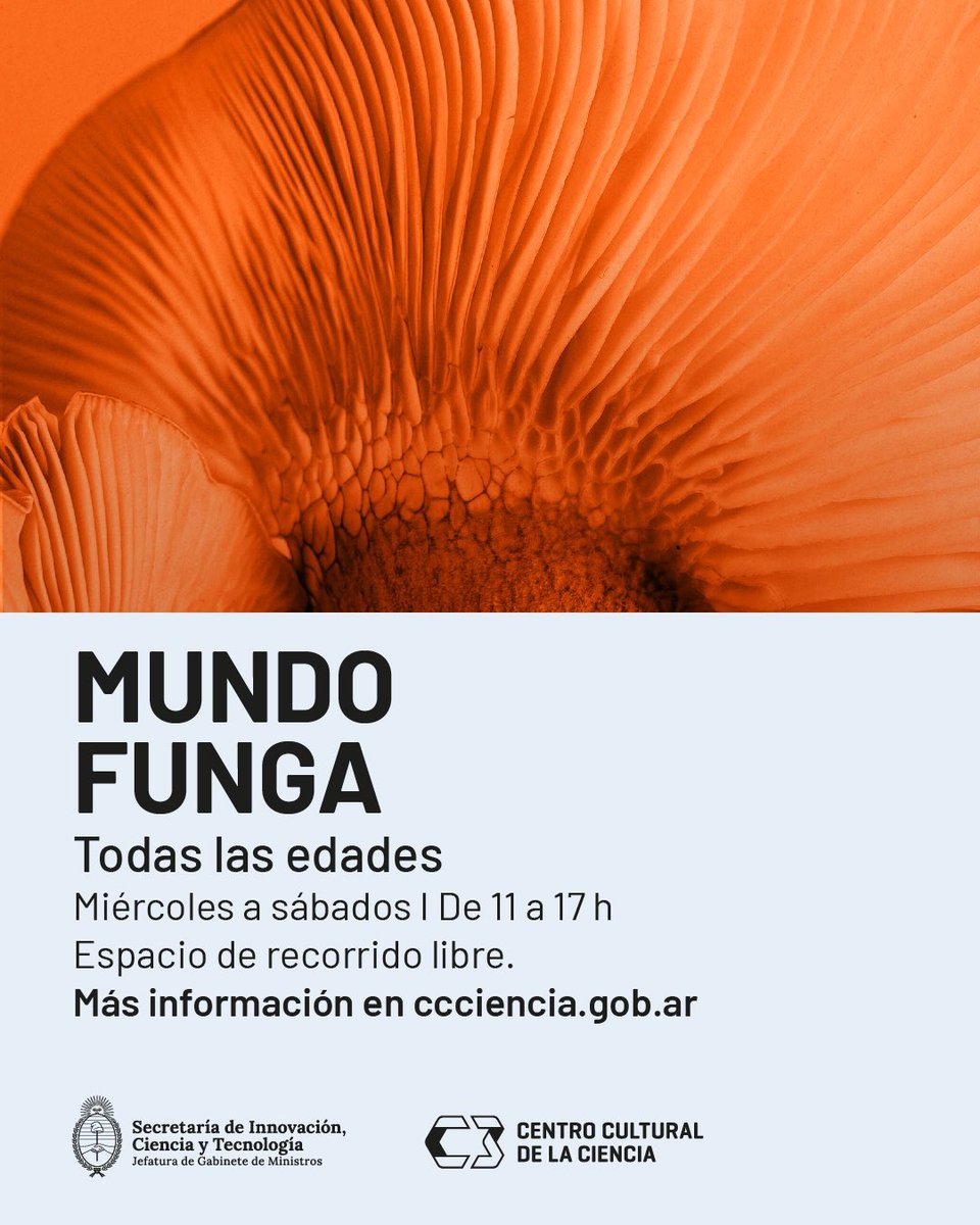 ccdelaciencia's tweet photo. 🍄✨ ¡Descubrí el fascinante "Mundo Funga" en el C3! Sumergite en el universo de los hongos, esenciales para la vida en la Tierra. Explorá su reino "fungi" con más de 1,5 millones de especies. Imperdible para todas las edades! Miércoles a sábados, de 11 a 17 h. 🌍🔬 #MundoFunga https://t.co/mIm5VD5eqM