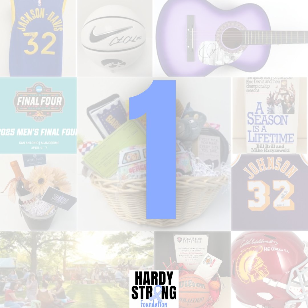 One more day until our silent auction is live!