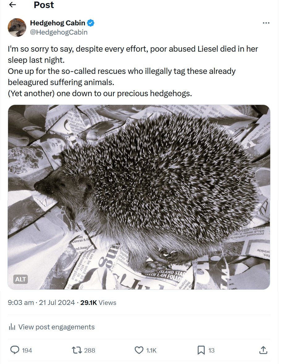 Yeah, sorry, it's long - grab a coffee.

This message is for all the bad rescues who think that they can do whatever they like to the helpless hedgehogs entrusted into their care, and who think of themselves as superior to 'members of the public'.
Yes, I mean you, <a href="/FunnybunnyQ/">Monique Blackford</a>