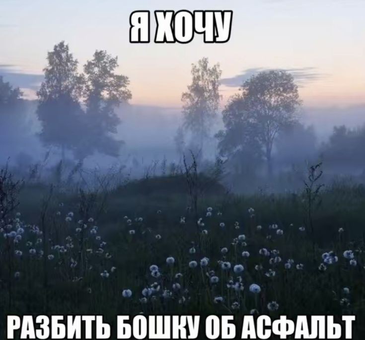для души tweet media