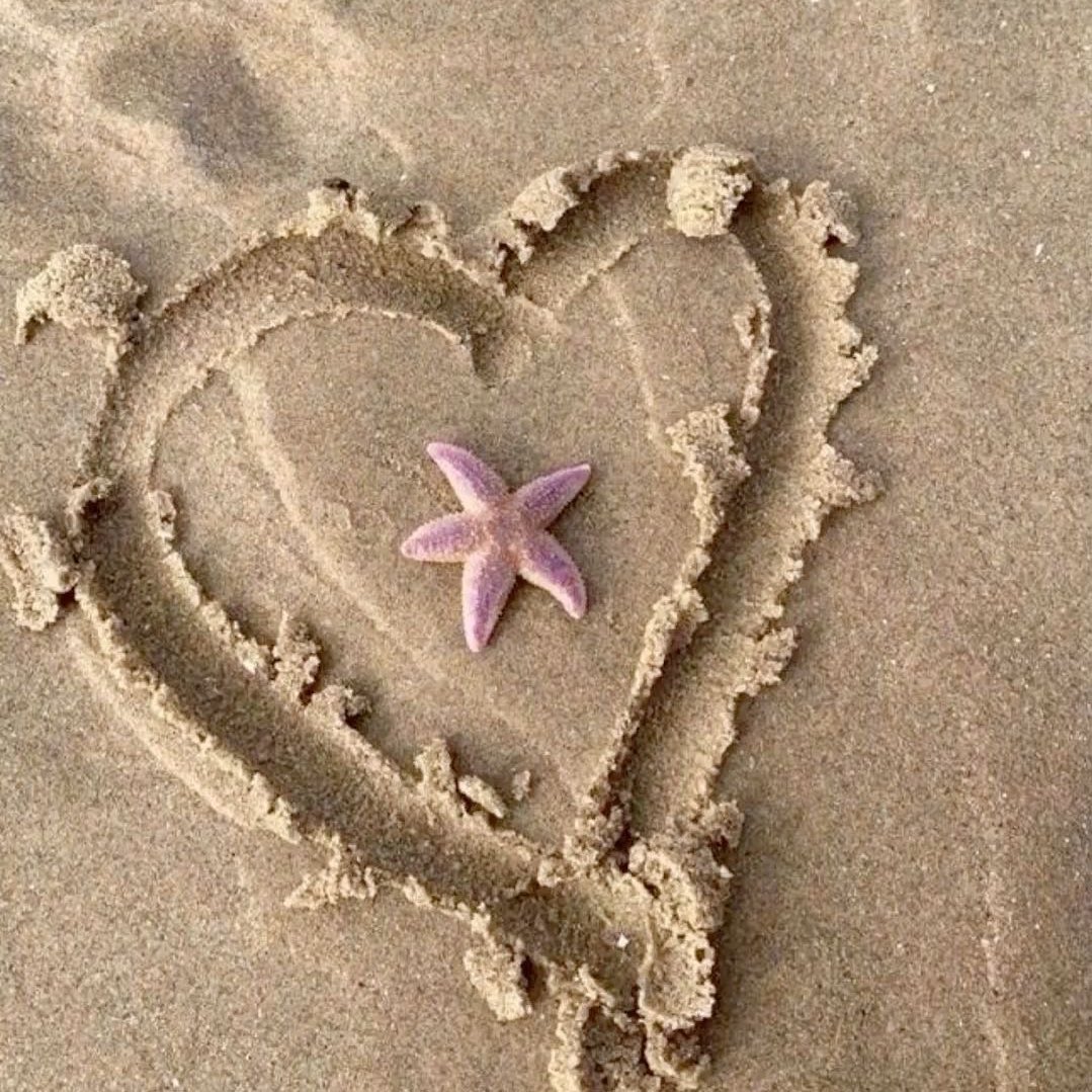 Lvspink0's tweet photo. https://t.co/rqke8S1w7S