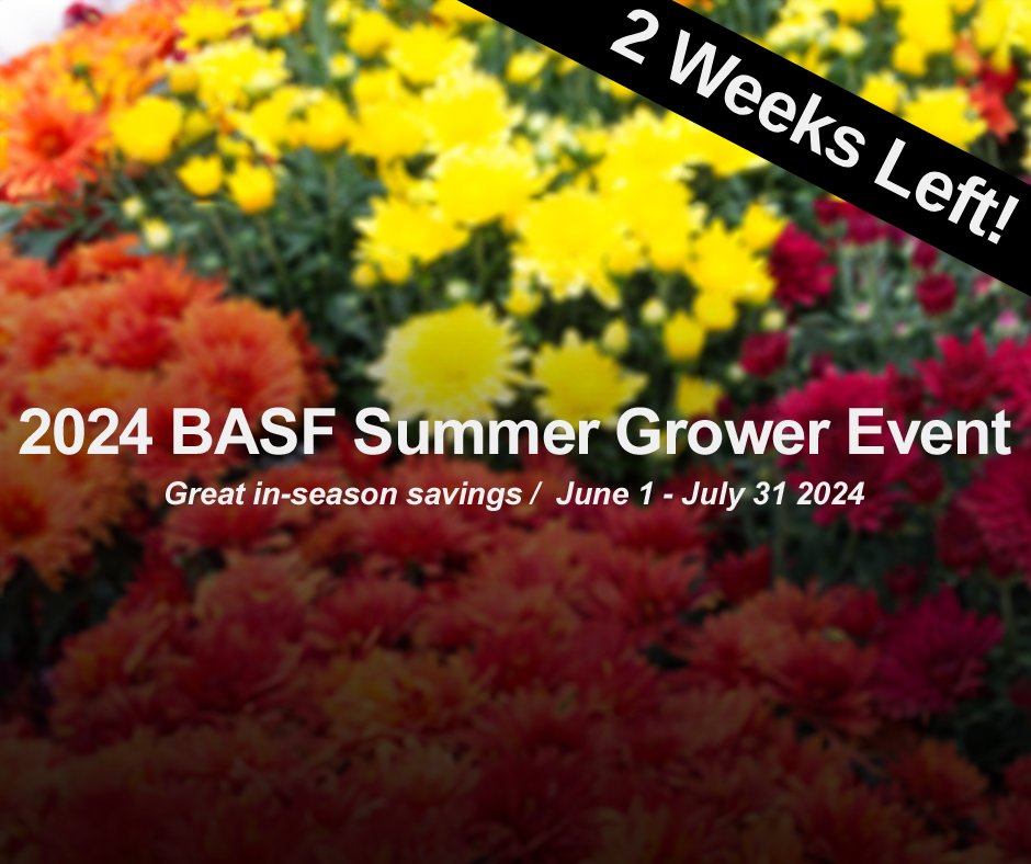 The 2024 Summer Savings Event ends in less than 2 weeks! Set yourself up for fall production with savings and extended terms on our lineup of Intrinsic® brand fungicides, class-leading insecticides and our latest innovation, Avelyo® fungicide.
bit.ly/3QhAg2k
