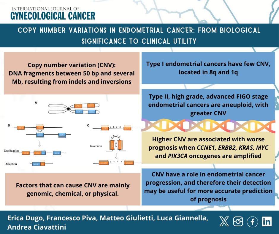 Copy number variations in #endometrialcancer: from biological significance to clinical utility

🔬 bit.ly/4f7ZJFX

<a href="/pedroramirezMD/">Pedro T Ramirez</a> <a href="/HsuMd/">Arthur_HC_Hsu</a> <a href="/JayrajAarthi/">Aarthi S Jayraj</a> <a href="/AndreFernandes2/">Andreina Fernandes</a> <a href="/IGCSociety/">IGCS</a> <a href="/ESGO_society/">ESGO</a> <a href="/ENYGO_official/">European Network of Young Gynae Oncologists</a> <a href="/OncoAlert/">OncoAlert</a> <a href="/IJGCfellows/">IJGC Fellows</a> <a href="/GynMe4/">SoMe4GynOnc</a>