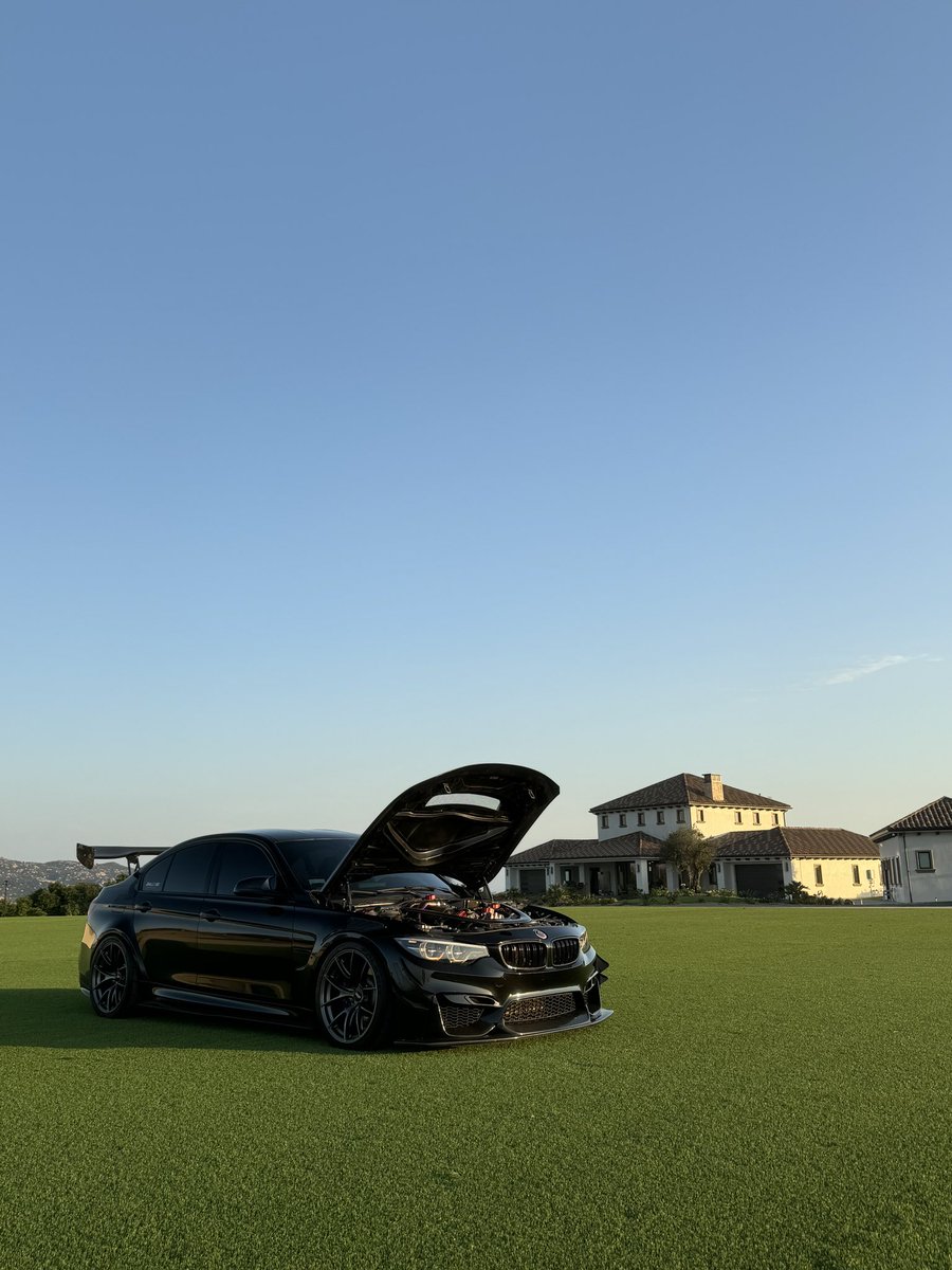 𝚎𝚕𝚒 tweet media