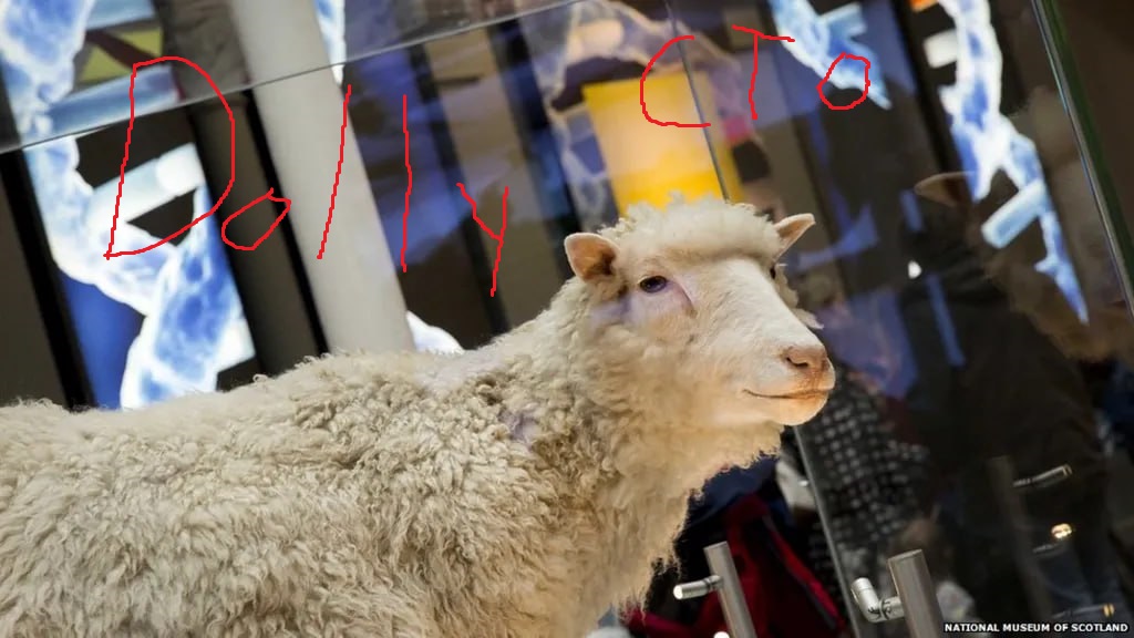 Dolly live on Birdeye 👀

birdeye.so/token/EMQJcwsD…