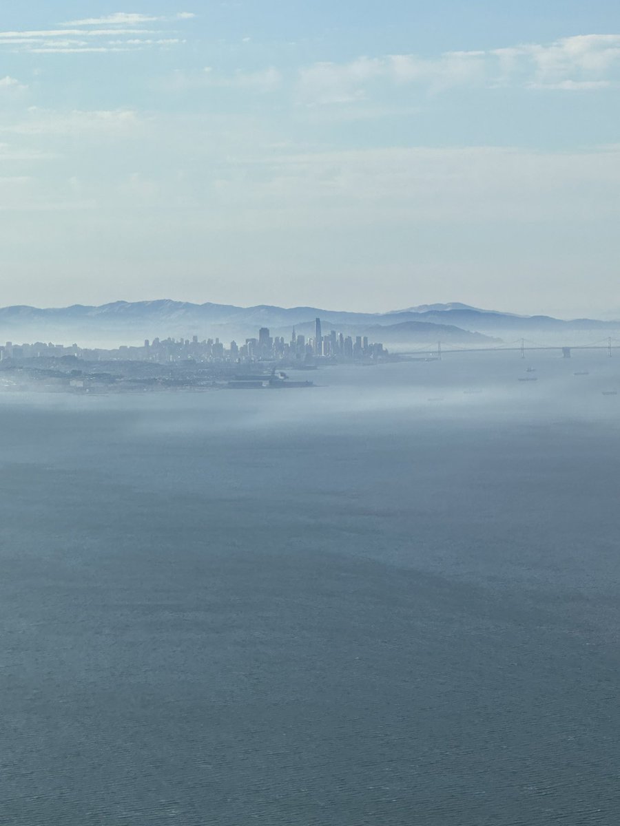 Stuart Blitz tweet media