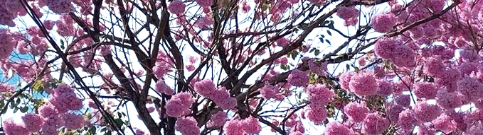 اللهم إنا نسألك ذنوب تغفر وحاجات تقضى وأمنيات تتحقق وأدعية تستجاب .