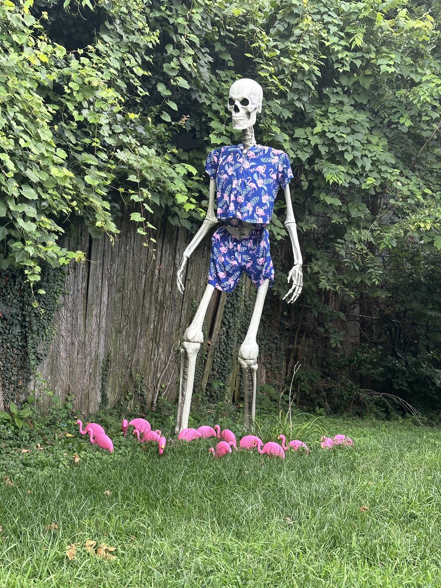 EmilyforKC's tweet image. The #pamily team is back! Knocking in district 24, senate district 7 &amp;amp; Gov! 

#Vote Aug 6! No excuse absentee voting started today.
 
Me: emilyformissouri.com
@Patty4MO : pattyformo.com
@crystal_quade : crystalquade.com
@MO_HouseDems : mohousedems.com