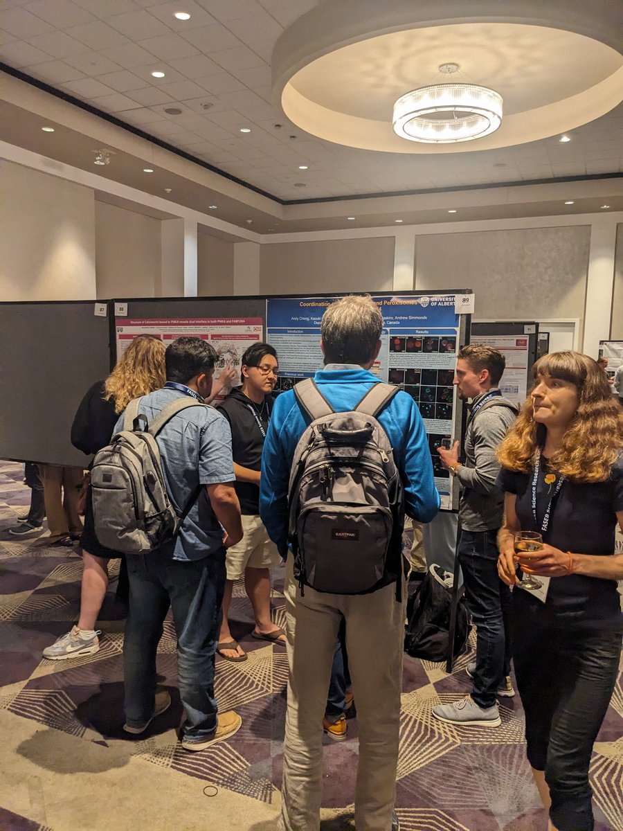 Andrew Simmonds (@simmondslab) on Twitter photo Proud supervisor moment seeing your new grad student presenting their first poster at their first conference and getting lots of interest. #LIPDSRC <a href="/UofAResearch/">UAlberta Research</a> Proud supervisor moment seeing your new grad student presenting their first poster at their first conference and getting lots of interest. #LIPDSRC <a href="/UofAResearch/">UAlberta Research</a>