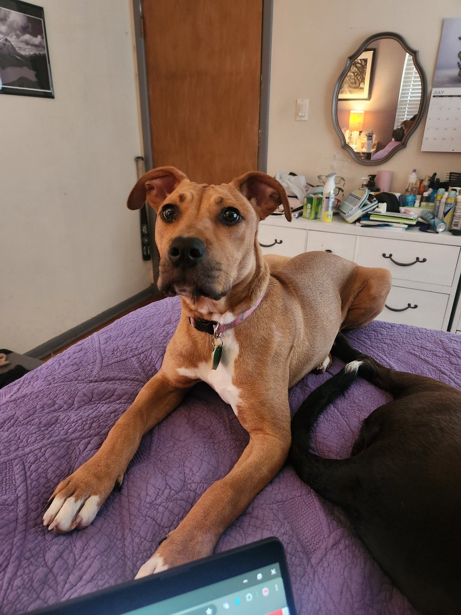 Daisy Mae is growing so fast! 10 weeks -&gt; 5 months
