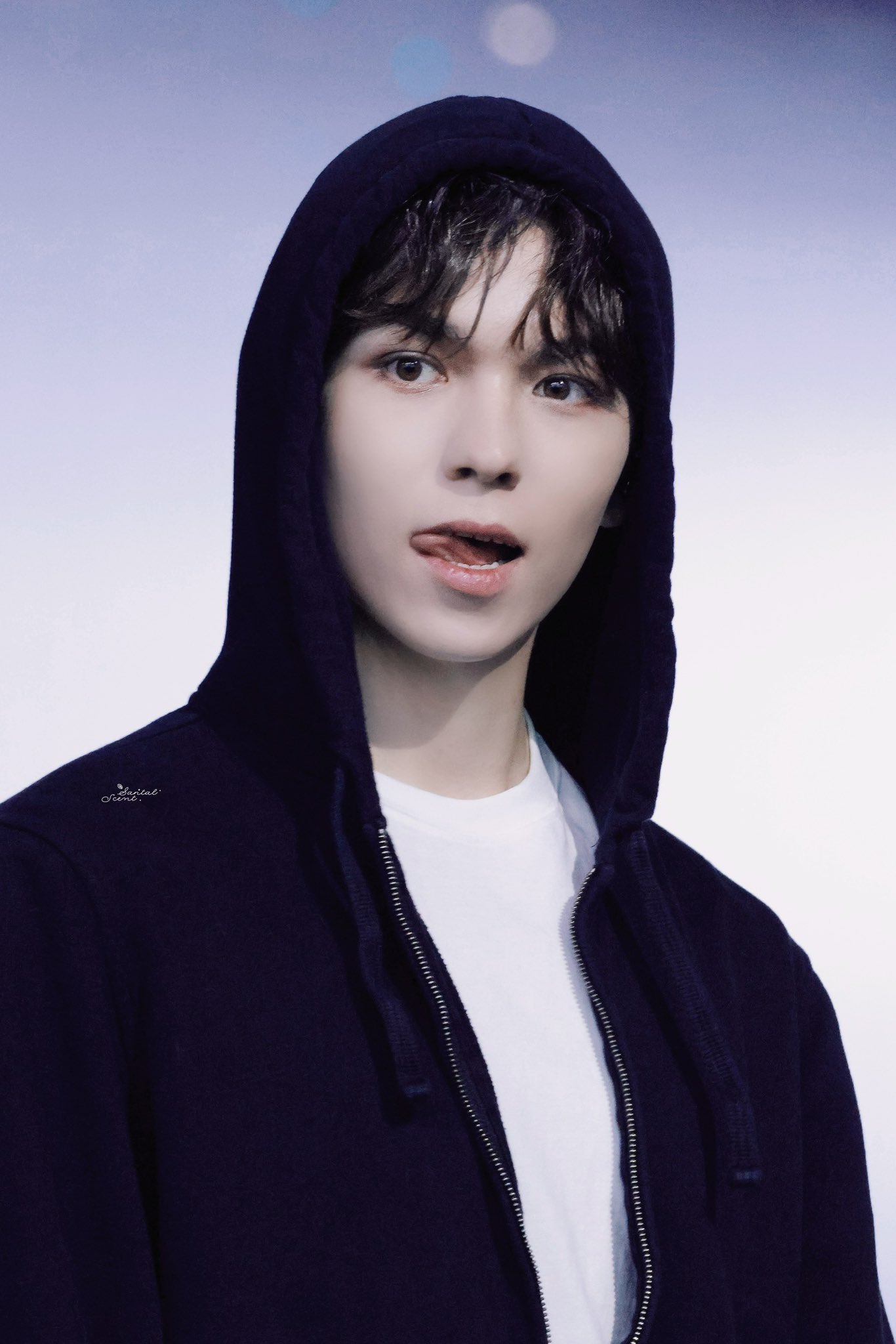 2023 ケレン バーノン SEVENTEEN - SEVENTEEN セブチ carat land ケレン 2023 バーノン