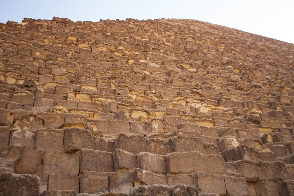 andrés duque 𓆣 tweet media