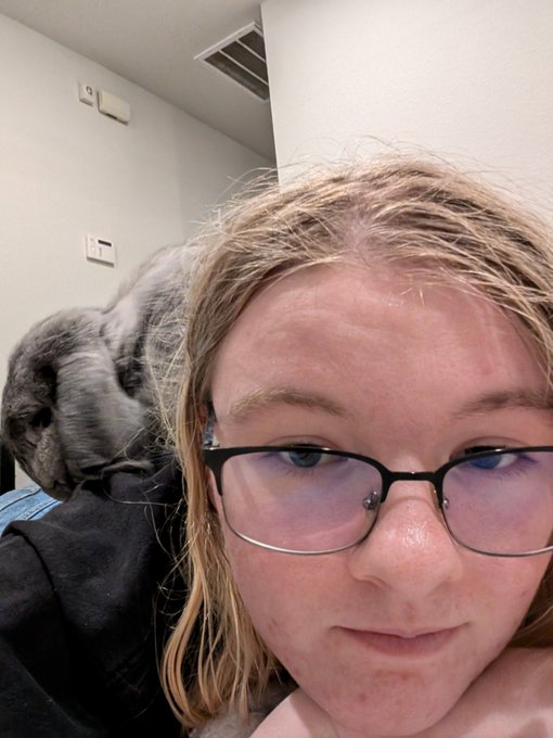 I am apparently a climbable surface #rabbit #bunny https://t.co/vGaBhh372D<a href="/tag/rabbit"class="tags">#rabbit</a><a href="/tag/bunny"class="tags">#bunny</a>