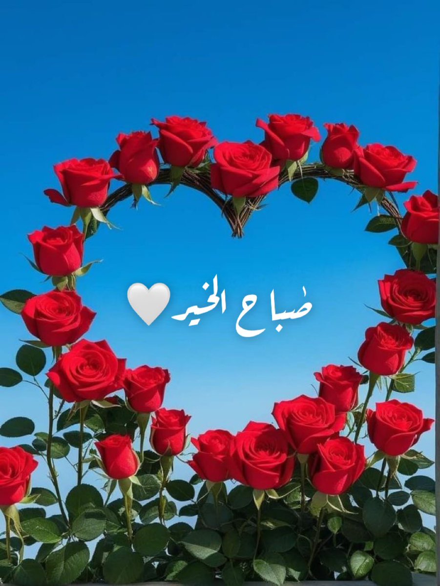 ♥️🕊الاميره قلبي🕊♥️ tweet media