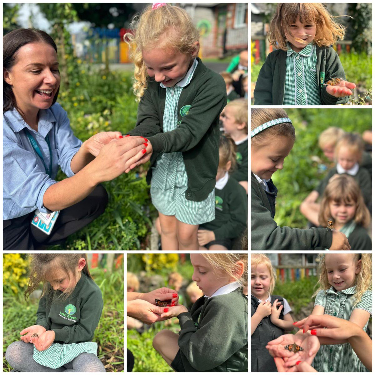 LairaGreenSch's tweet image. Reception watched with awe as their tiny caterpillars grew and eventually turned into butterflies! There was so much excitement today as they set them free! What a wonderful experience! 😍🐛🦋