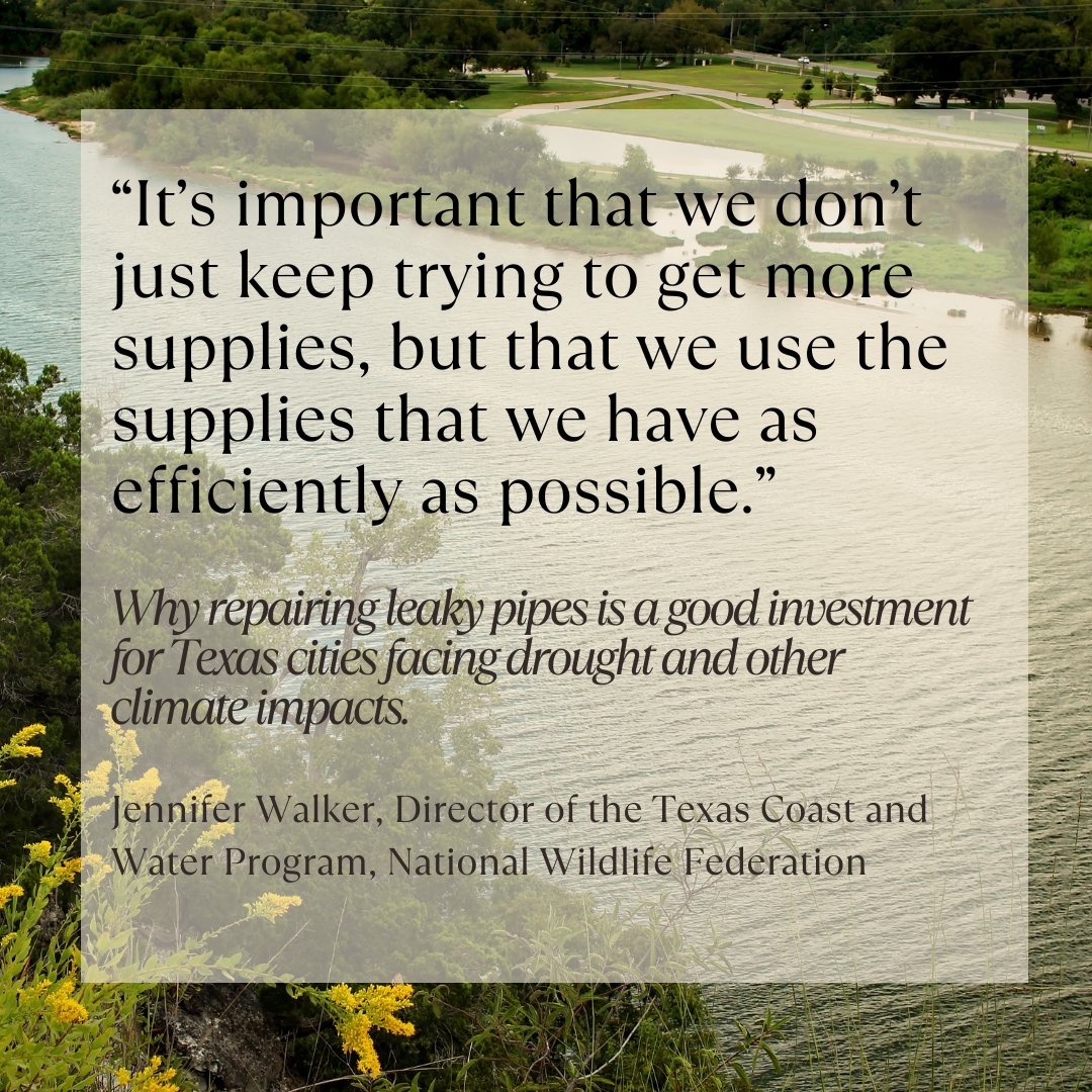 Texas Living Waters tweet media