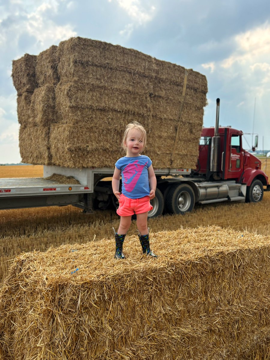 Dustin Berlett tweet media