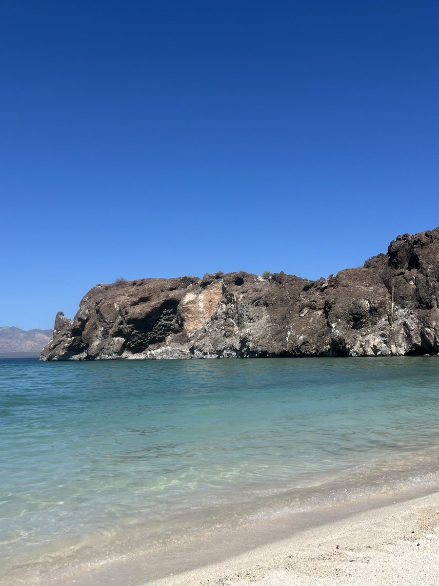 Una escapada a Mulegé playa el burro 🌊🏖️🐚👙 #baja