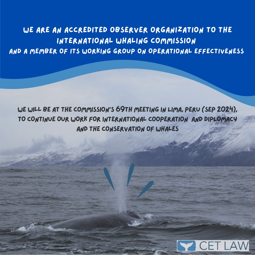 Happy #WorldWhaleandDolphinDay from Cet Law! Today, we celebrate the global ban on commercial whaling agreed by contracting governments to the International Whaling Commission (IWC) on July 23, 1982. Stay tuned to learn more about our work on #InternationalLaw and #whales!🐋🐬💙