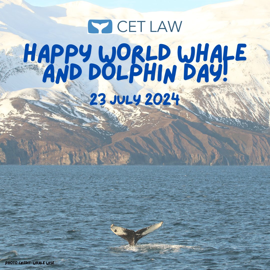 Cetacean Law tweet media