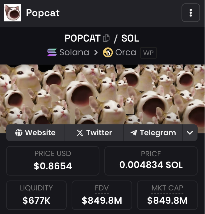 shahh's tweet photo. 1000 SOL.

All in.

Which cat are you choosing? https://t.co/o6KPSx06E6