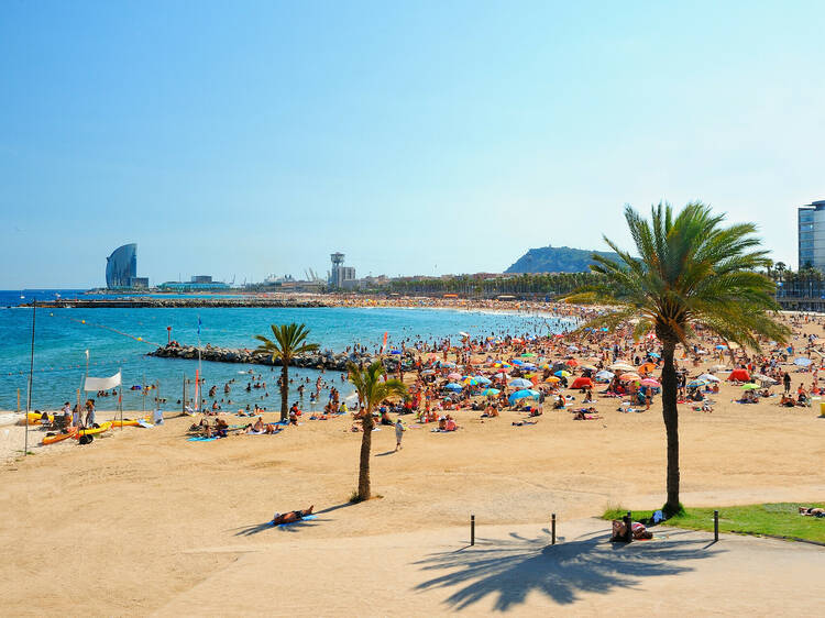 aeroscroll's tweet image. 1 Day in Barchelona
6 PM | Relax at Barceloneta Beach
Unwind at Barceloneta Beach after a day of exploring. Dip your toes in the Mediterranean Sea or simply relax on the sandy shore. A Day in Barcelona wouldn’t be complete without some beach time.
#BarcelonetaBeach #BeachLife #