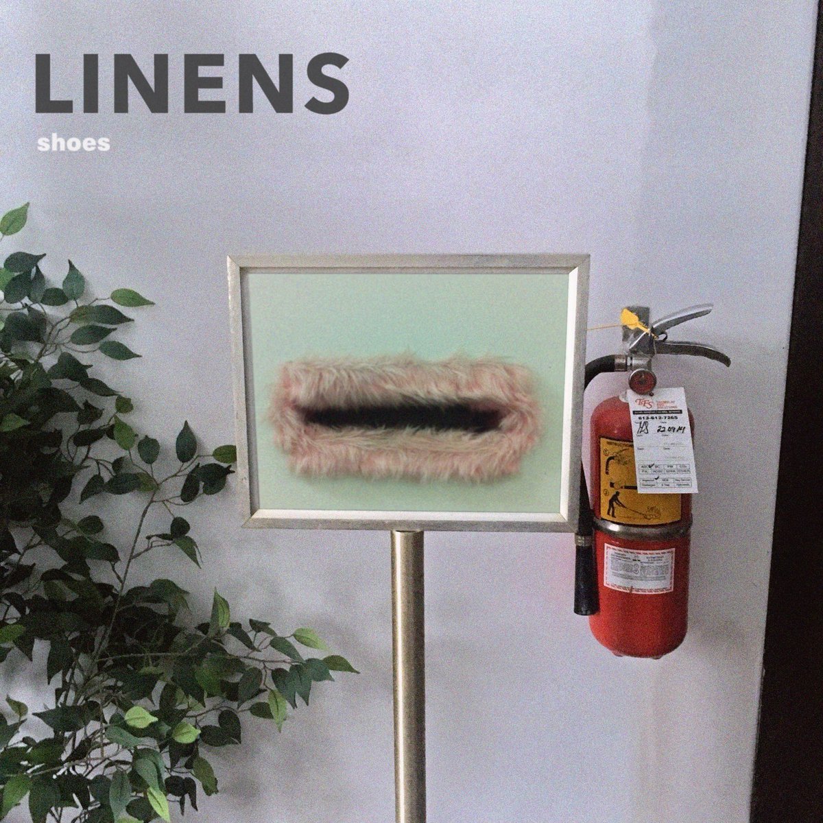 NEW SINGLE: "Shoes" + PRE-ORDER "Damn Loss" / Link in bio for album preorder on Bandcamp and to stream Shoes everywhere!

Listen: linktr.ee/linensband

Massive thanks to Nixon Boyd for recording, mixing and co-producing these tracks and Bryan Lowe
for mastering. 😎⚡🔥