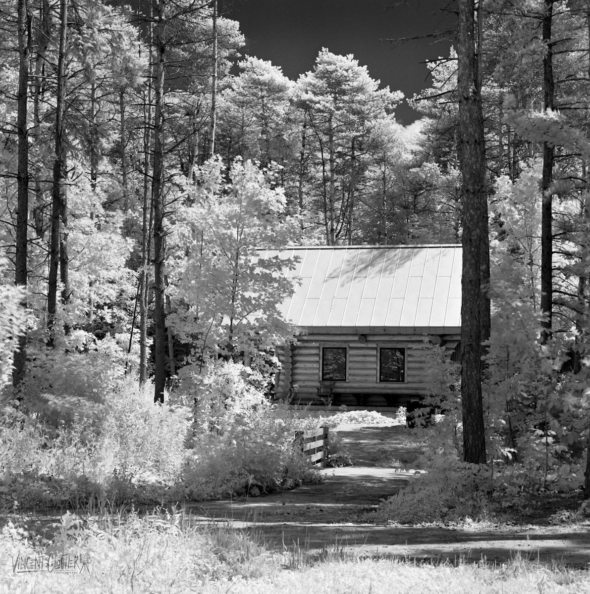 Good evening 😊
Finally vacation, I can breathe, relax and have a little film fun🎞️

Mamiya c330 &amp; 105mm lens
Rollei ir 400
Ilford id11