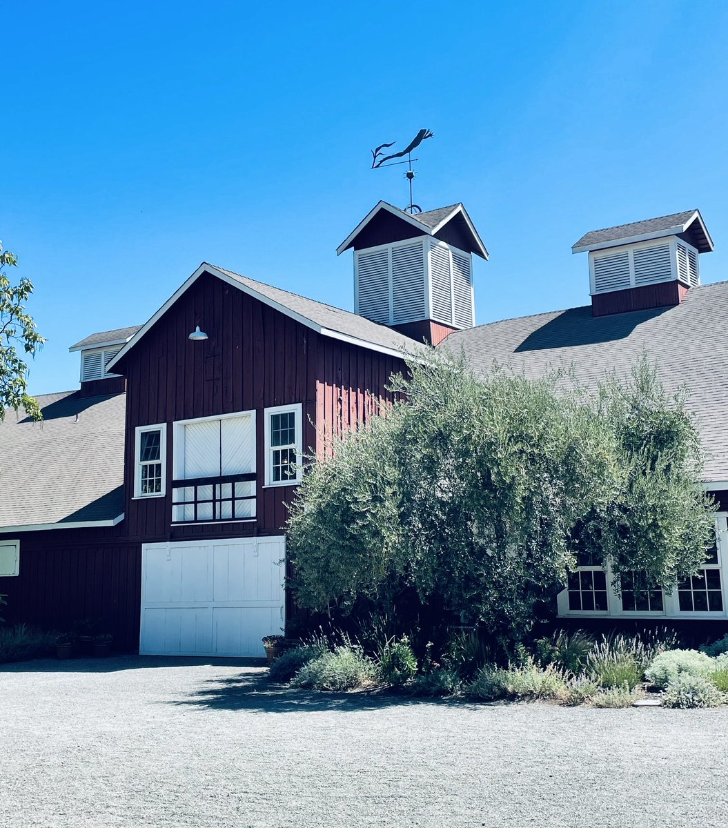 BartlettBacchus's tweet photo. A fun and informative tasting at #FrogsLeap. The Williams-Rossi Vineyard Cabernet is a very nice addition to their portfolio. #NapaValley https://t.co/Y9dvVfH81u