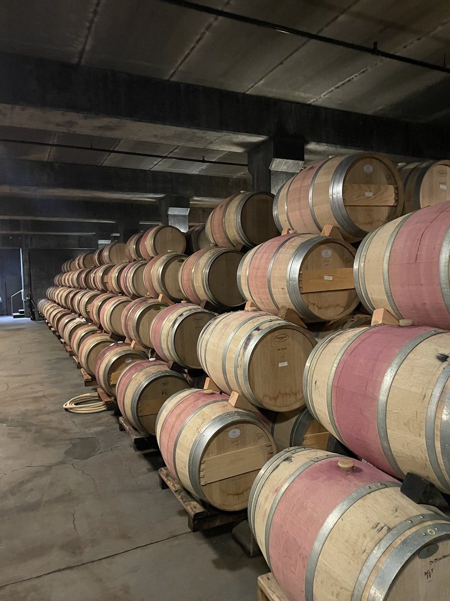 BartlettBacchus's tweet photo. A fun and informative tasting at #FrogsLeap. The Williams-Rossi Vineyard Cabernet is a very nice addition to their portfolio. #NapaValley https://t.co/Y9dvVfH81u