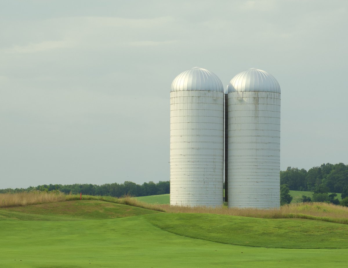 RoppityPhotos's tweet image. #Landscape #Photography #Silos #Golf @unionvalegolf #PhotographyIsArt 
Some of my favorites from golf outing with the boys.