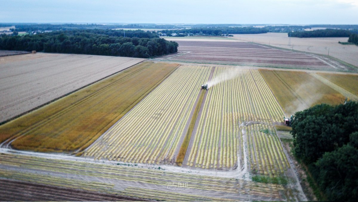 Nadège PETIT 👩‍🌾 tweet media