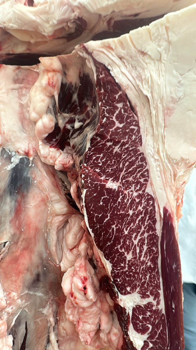 When the butcher sends you photos of your product 👌🏻🥩