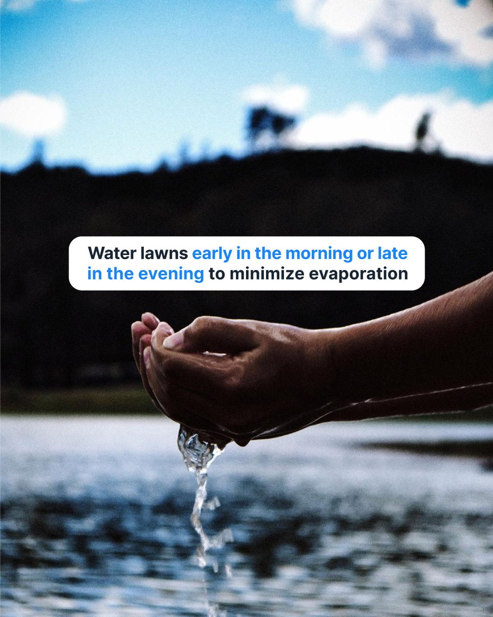 WaterTimer_ tweet picture
