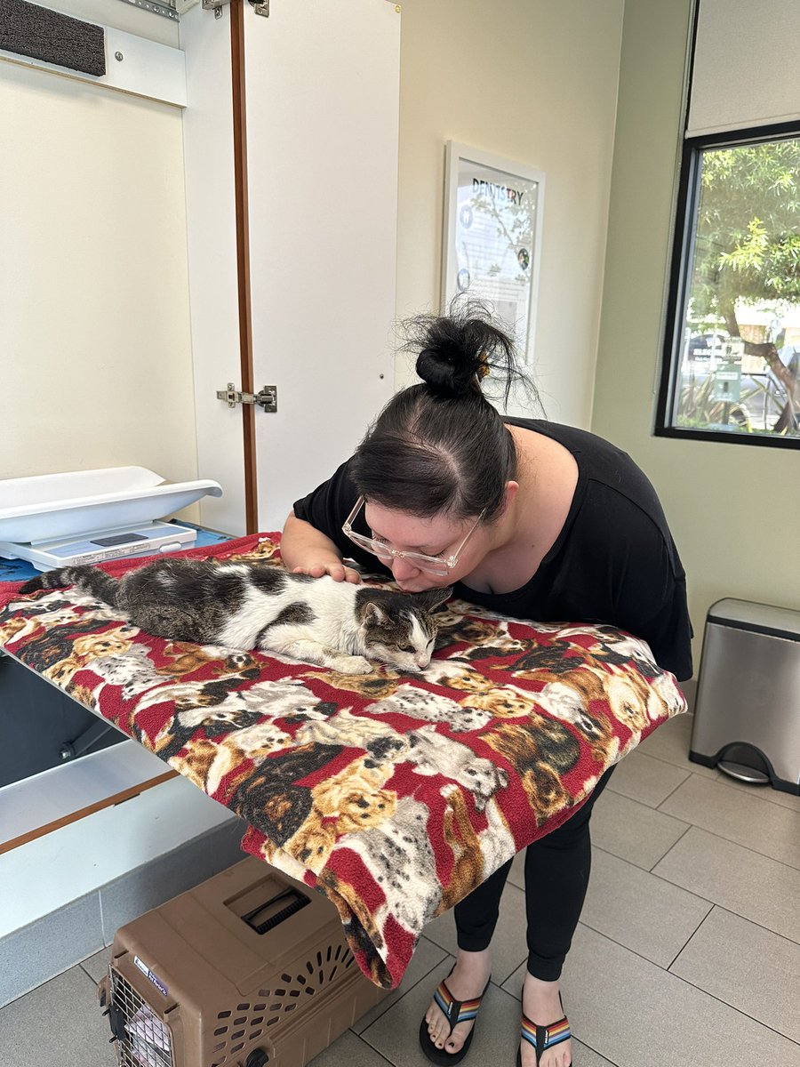 skeletonbrat's tweet photo. said goodbye to my sweet girl today. getting to spend 15 years of my life with you is a blessing I will always be grateful for. you were my best friend &amp; it’s so hard to accept I won’t see you again- but I believe we’ll reunite somehow, some way, someday. I love you so much lady. https://t.co/X1XJZLqkAi