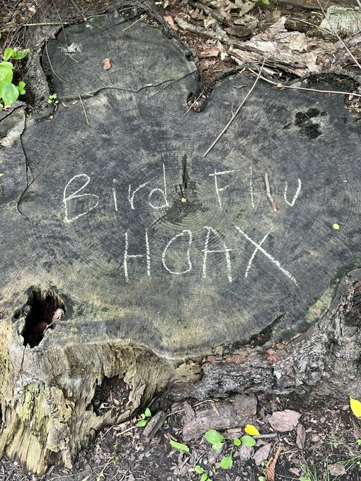 The things you find when you&rsquo;re out for a walk lol https://t.co/qDZDsexDL7