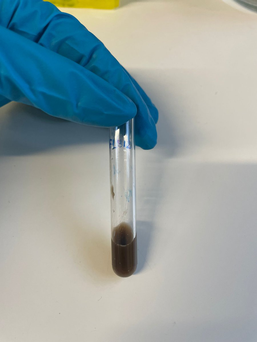 Helder Novais Bastos tweet media