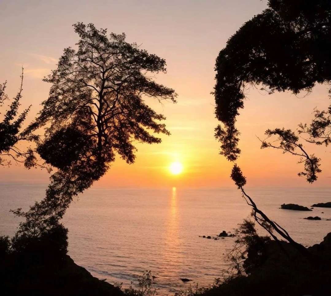 everywhere I go, I see their faces