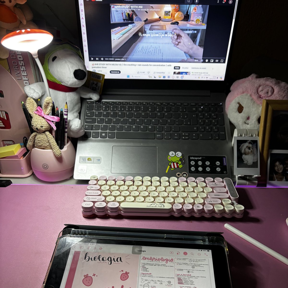 ✧˚ ༘ ⋆｡˚ eli 💊 | aprova 🏷️STUDYELI tweet media